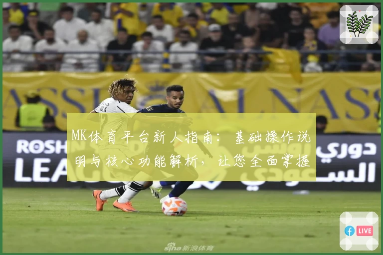 MK体育平台新人指南：基础操作说明与核心功能解析，让您全面掌握使用技巧